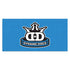 Dynamic Discs Accessory Dynamic Discs Elevation 4' x 2' Fabric Banner