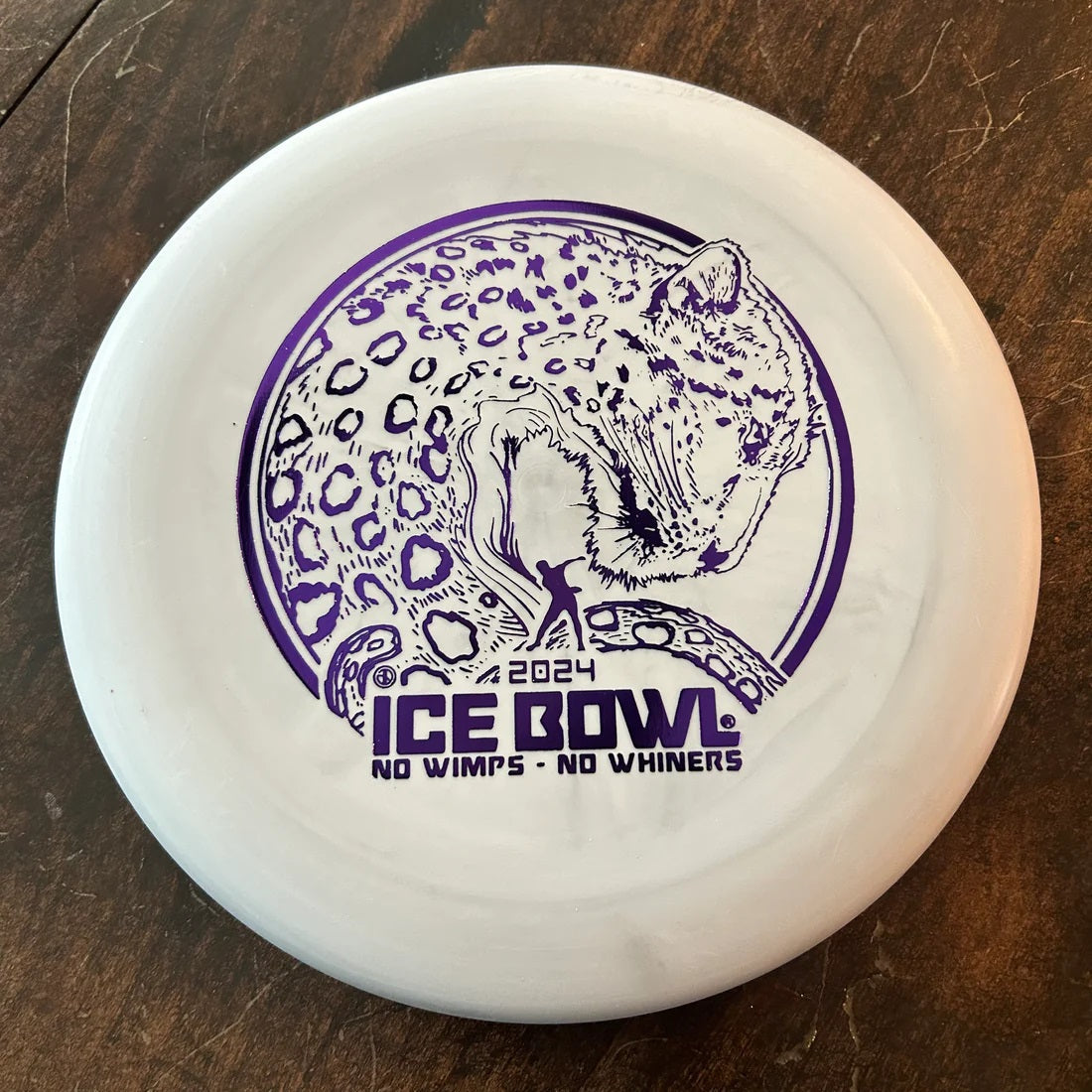 Innova Limited Edition 2024 Ice Bowl DX Aviar Putter Golf Disc