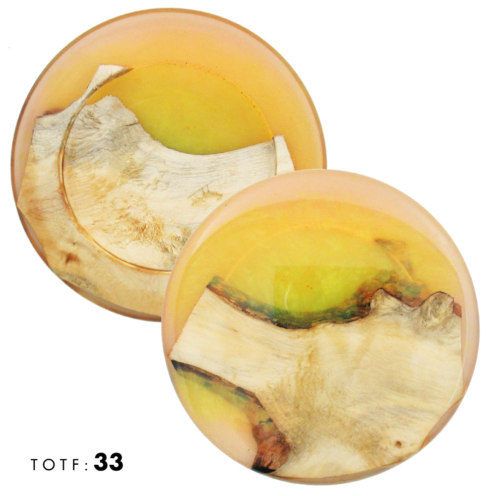 Treasures of the Forest Wood & Resin Mini Marker Disc