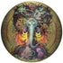 Discraft Golf Disc Plain Prism / 177-180g Discraft Full Foil Tree of Life SuperColor ESP Buzzz Midrange Golf Disc