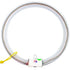 Knight Chainz Accessory Knight Chainz Excalibur Light Ring LED Disc Golf Basket Light